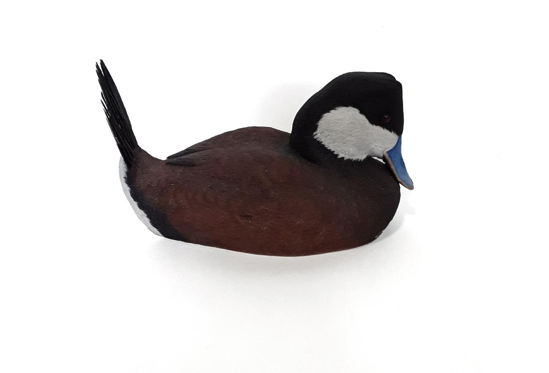 Tony Bendig's Rudy Duck Decoy Carving (1 of 4)
