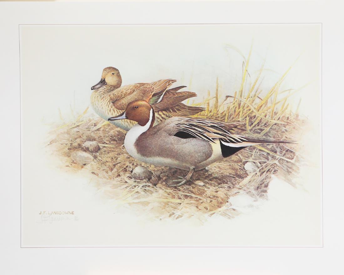 J. Fenwick Lansdowne's "Pintail Ducks" Limited Edition (1 of 1)