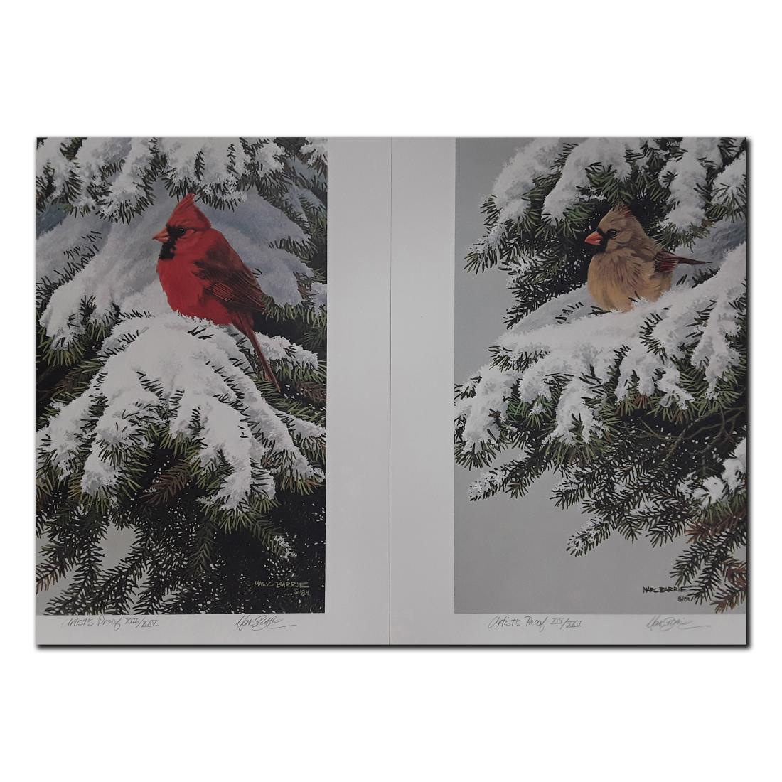 Marc Barrie's 'Royal Couple- Winter Cardinals' Limited (1 of 7)