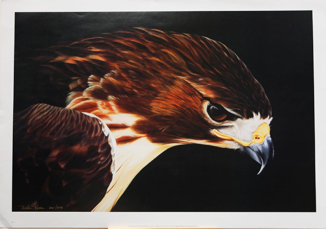 Nolan Haan's "Red-Tailed Hawk" Limited Edition Print (1 of 1)