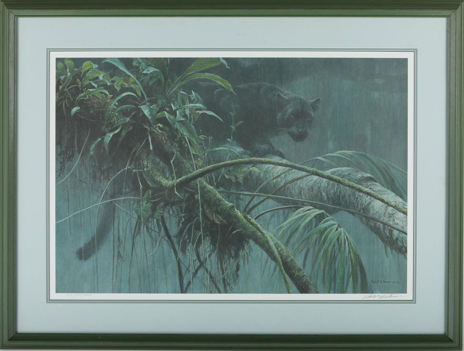 Robert Bateman's "Shadow of the Rainforest" LE Print: Robert Bateman's "Shadow of the Rainforest" limited edition print, signed and numbered CE 1775/2500. This piece has been professionally triple matted, and custom framed under glass. Image- 21 1/2" x 3
