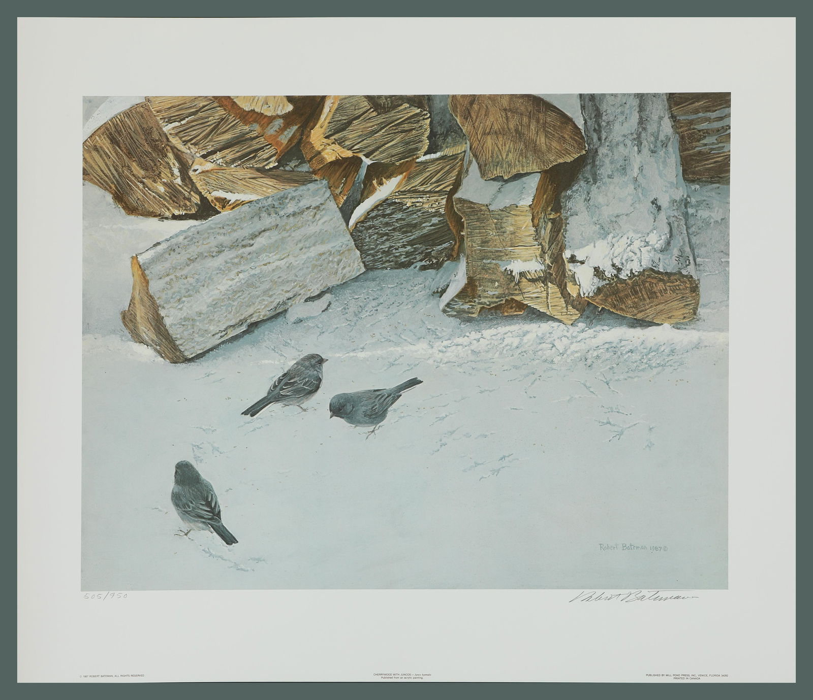Robert Bateman's "Cherrywood With Juncos" LE Print: Robert Bateman's "Cherrywood With Juncos" limited edition print, signed and numbered 505/950. This print is in mint condition, in its original folder. Image- 16" x 21 1/4". Paper- 21 1/2" x 25 3/4".