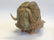 Bill Nasogoluak's "Muskox" Original Sculpture