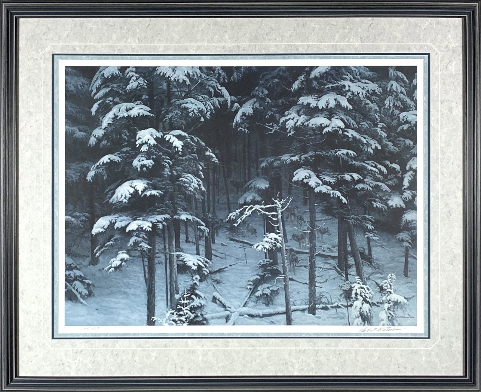 Robert Bateman's "Descending Shadows" Limited Edition: Robert Bateman's "Descending Shadows - Timber Wolves" limited edition print, signed and numbered 8445/8659. This is of a pack of wolves starting to emerge from a forest, in the middle of winter. This 