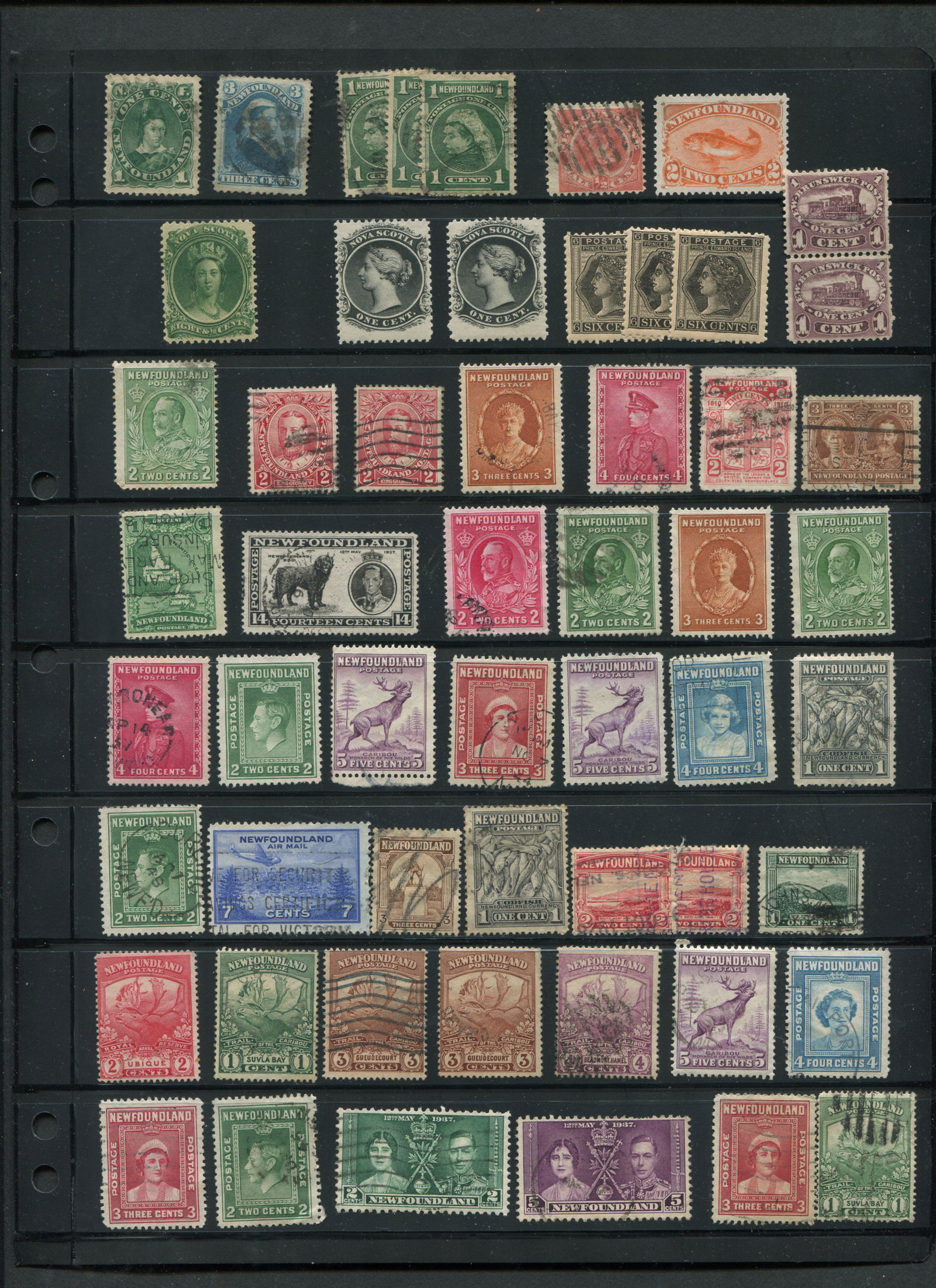 Canada Stamp Collection 5 (1 of 1)