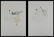 John James Audobon's "Birds of America" PP LE Prints - 10