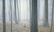 Robert Bateman's "Hardwood Forest - While-Tail Deer"