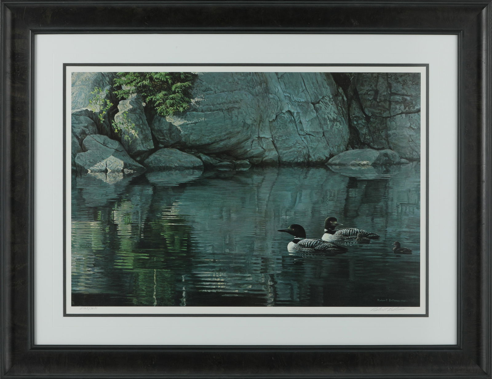 Robert Bateman's "Northern Reflections - Loon Family" (1 of 1)