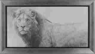 Robert Bateman's "The Warrior" Limited Edition Giclee (1 of 1)