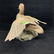 Don Marion's "Green Wing Teal Hen" Original Hand Carved - 3