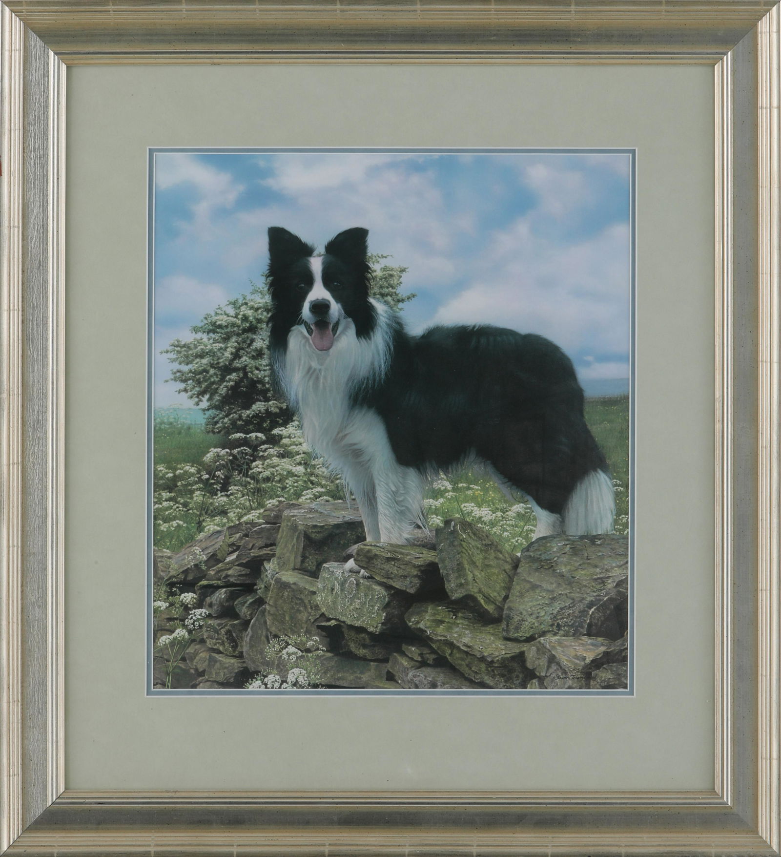 Steve Townsend's "Trooper - Border Collie" Limited (1 of 1)