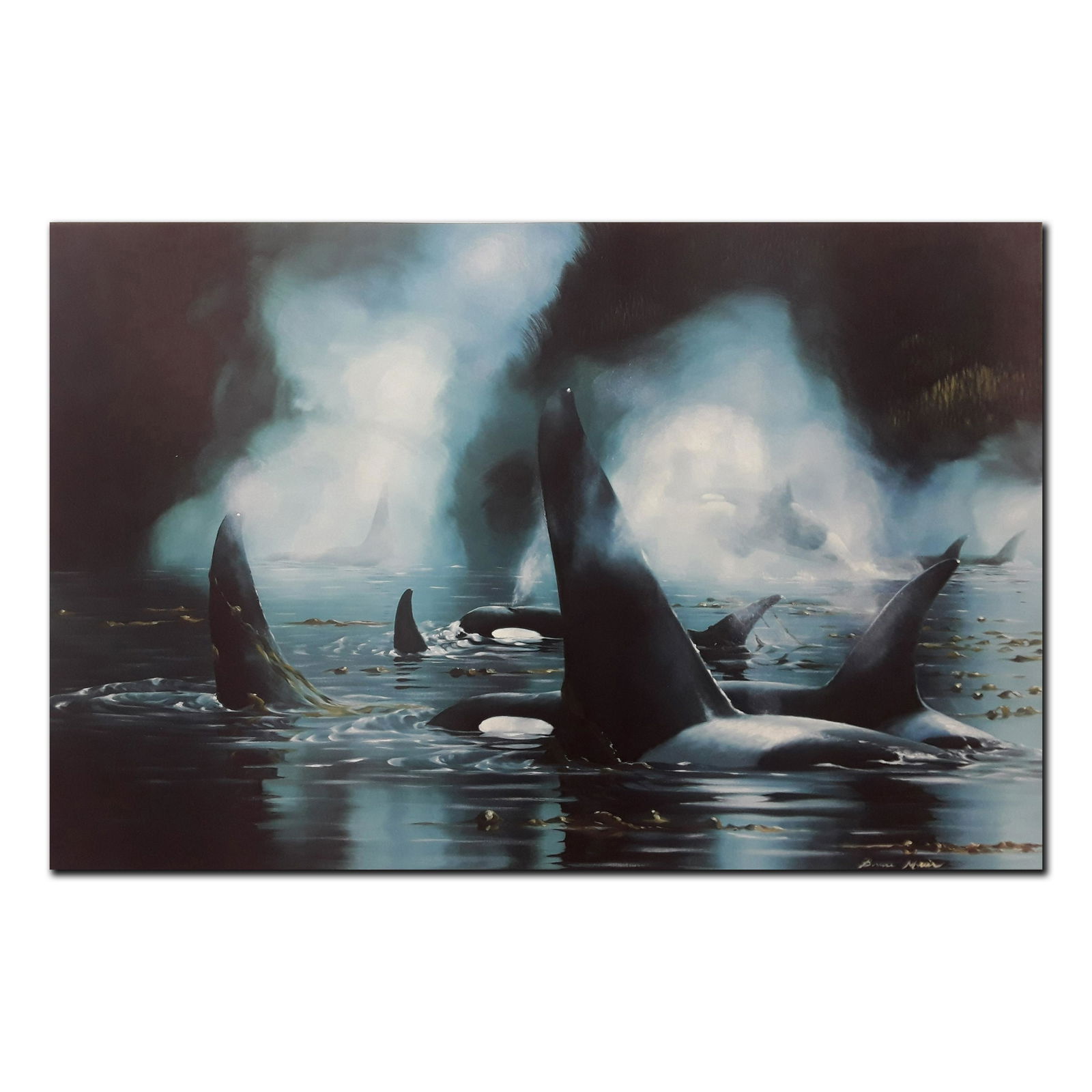 Bruce Muir's "Kingdom Of The Orca" Limited Edition: Bruce Muir's "Kingdom Of The Orca" limited edition print signed and numbered 359/500. This print is in mint condition and has never been framed. Art. 22" x 34".