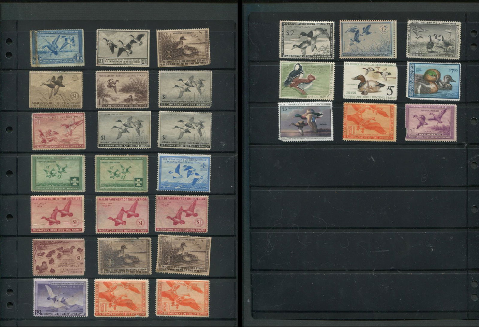 USA Bird Hunting Stamp Collection 3 (1 of 3)