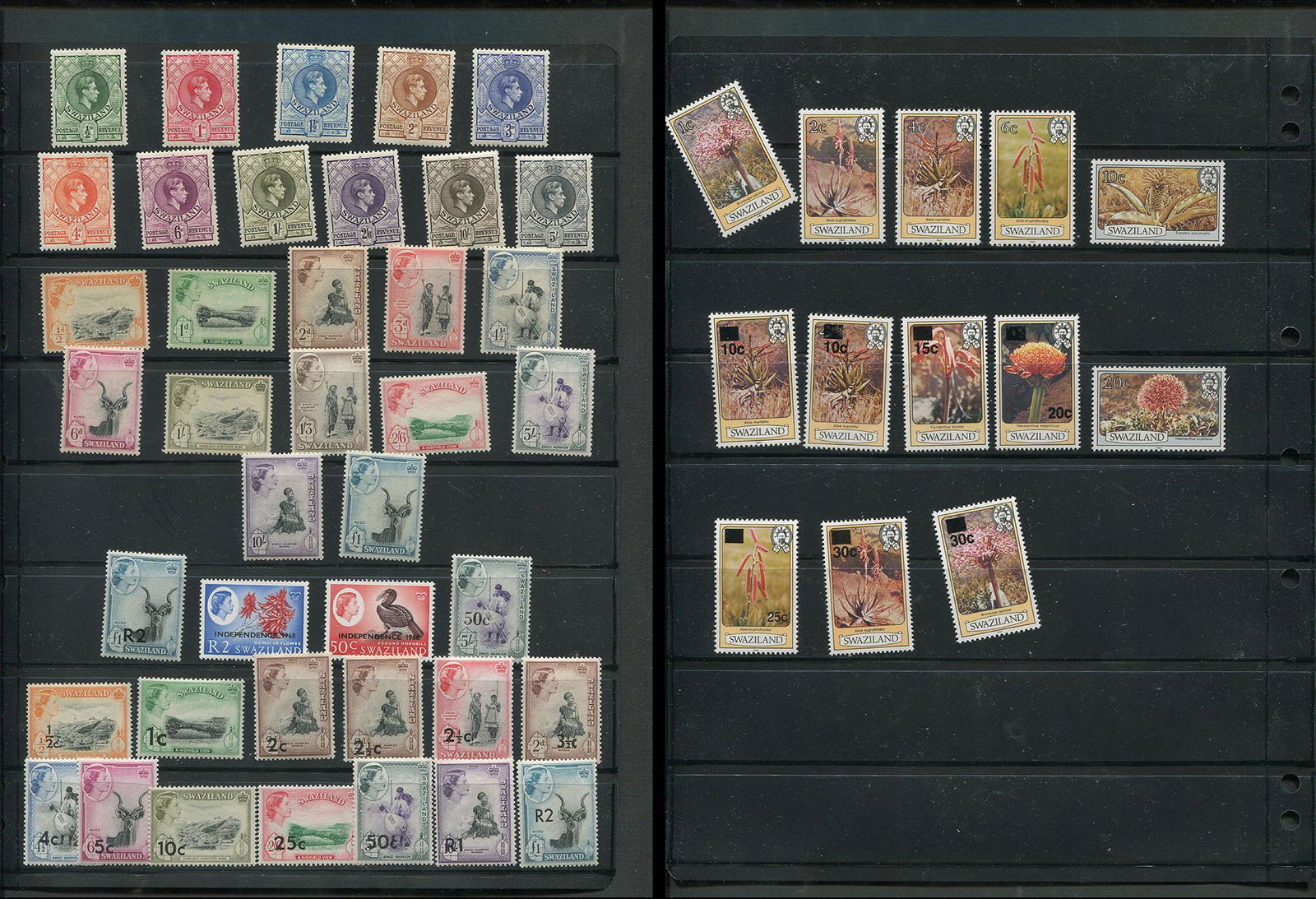 British Commonwealth Stamp Collection Mint 6: A mint British Commonwealth stamp collection. This collection includes issues from George VI to Elizabeth. All stamps are mint with original gum, and many are never hinged. Please see photos.