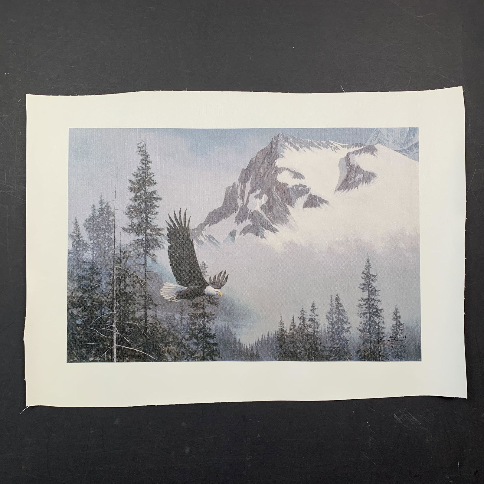 Doug Laird's "Rocky Morning Flight" Limited Edition Canvas (1 of 1)