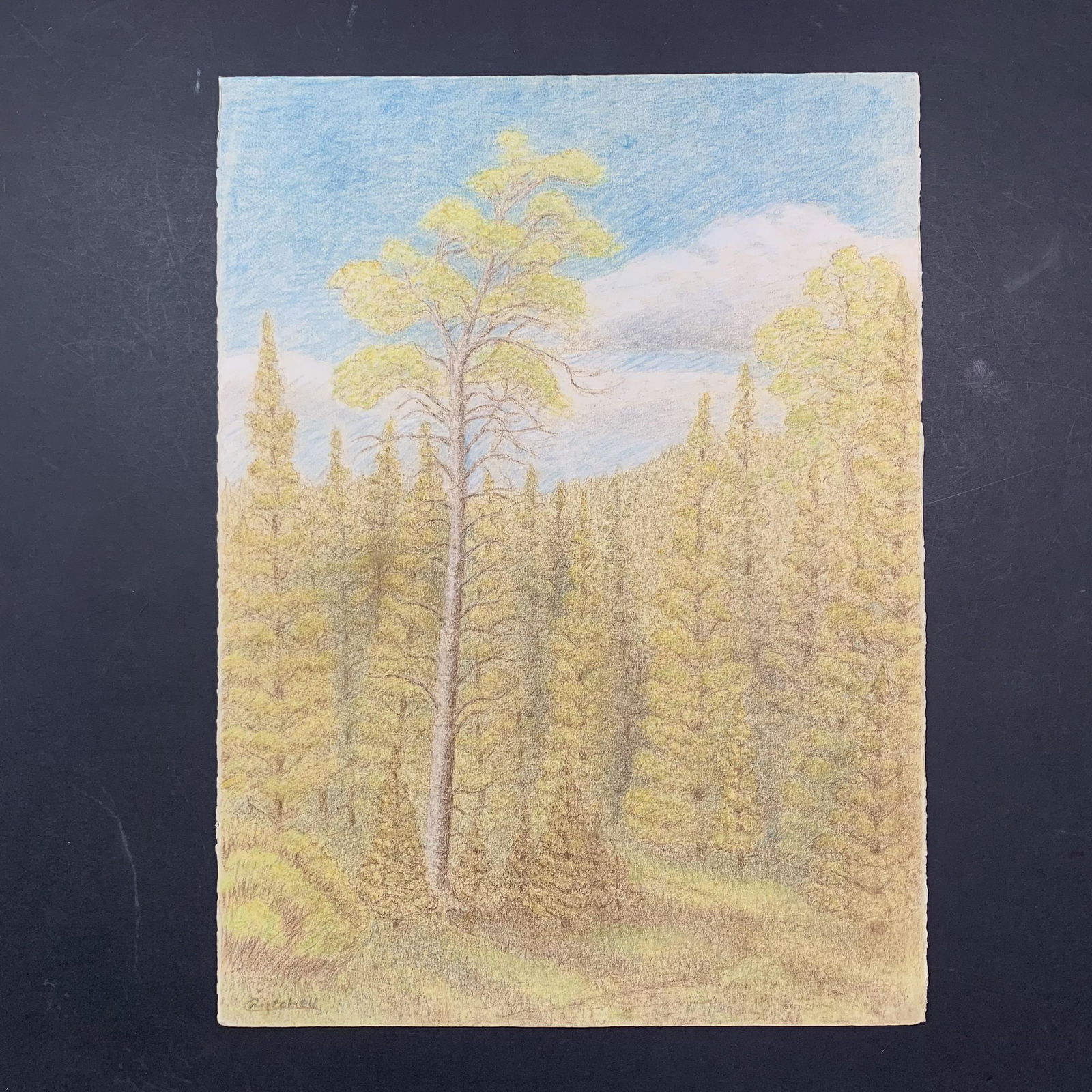 Charles Mitchell, Untitled, Original Pastel on Paper (1 of 1)