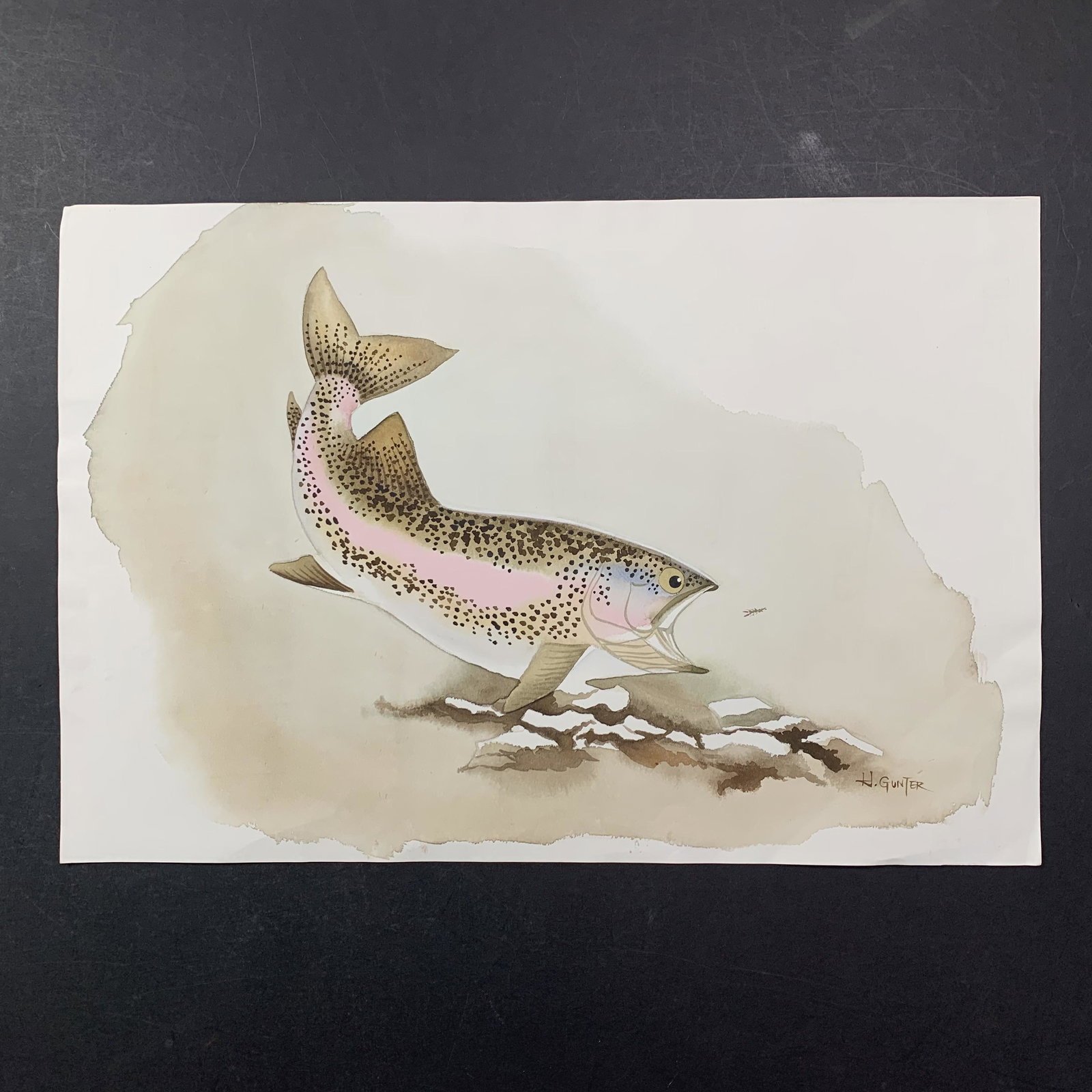 H. Gunter's "Rainbow Trout" Original Print (1 of 1)