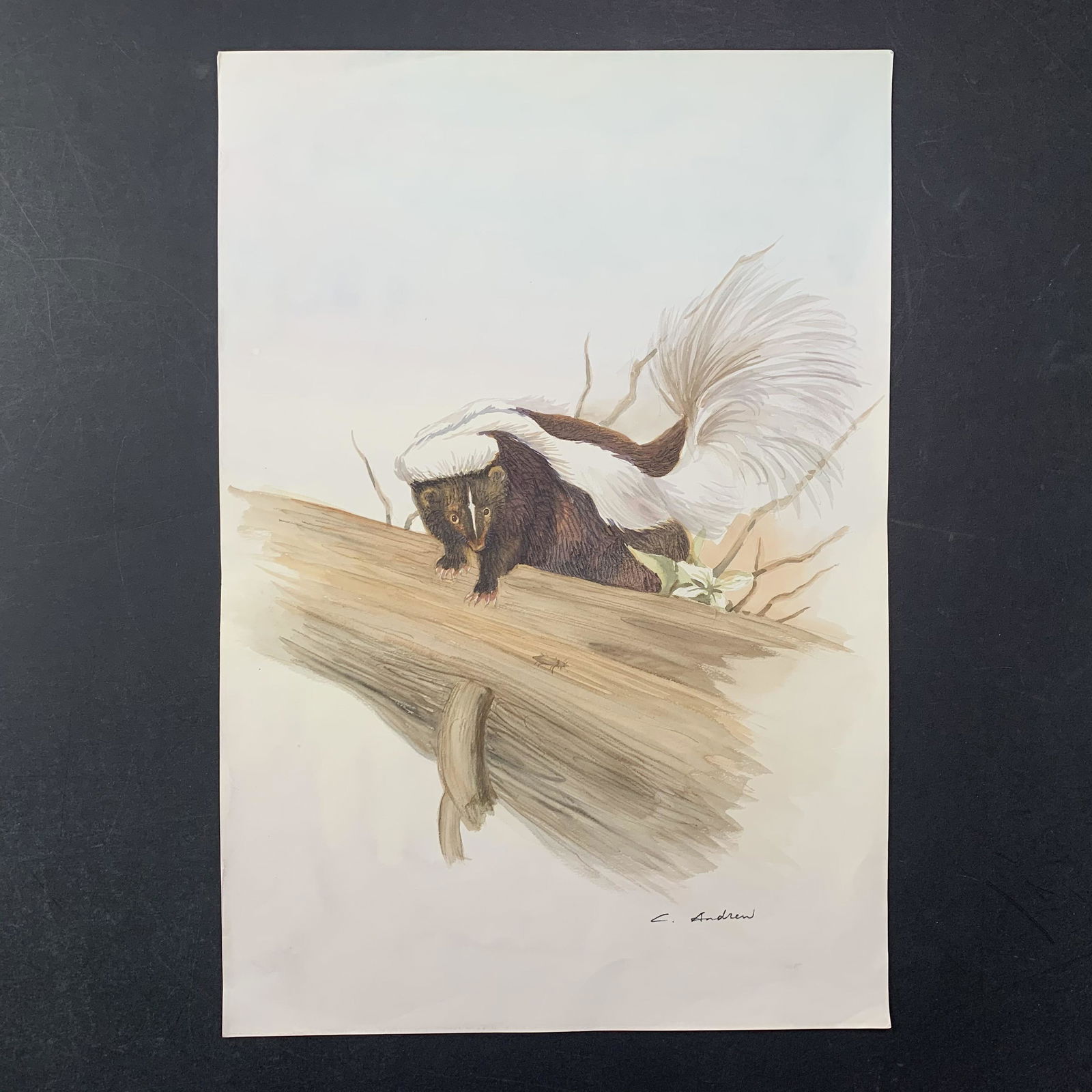 H. Gunter's "Sneaky Skunk" Original Print (1 of 1)