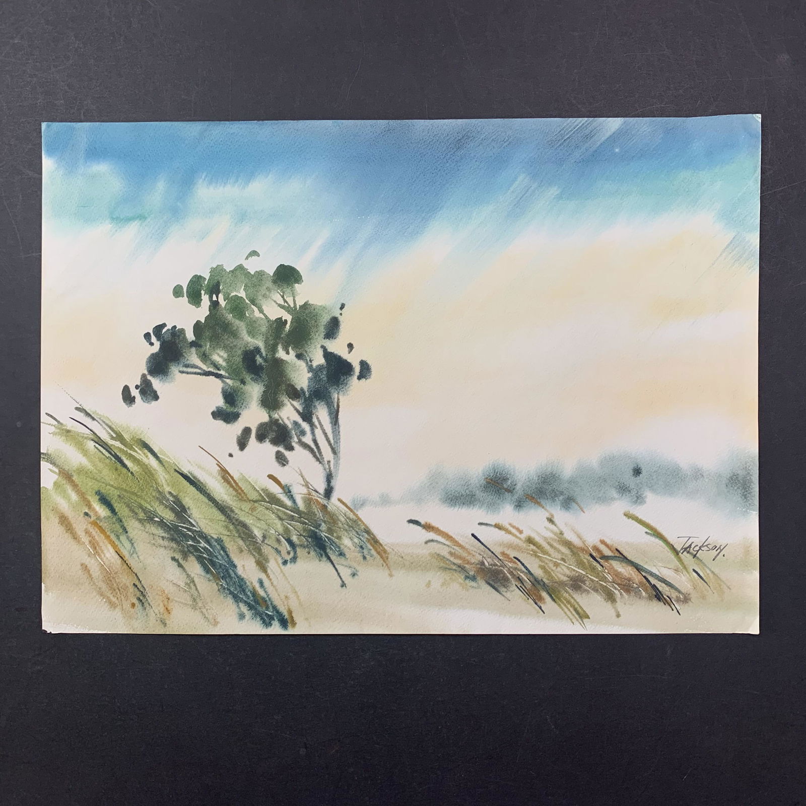 Jackson's "Windswept" Original Print (1 of 1)