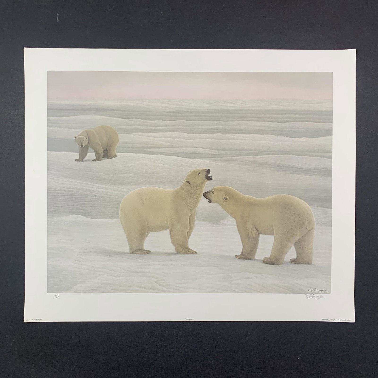 Lorenzo Fracchetti's "Polar Courtship" Limited Edition Print: Lorenzo Fracchetti's "Polar Courtship" limited edition print, signed lower right and numbered 370/500 lower left. This piece is two polar bears together, with one in the background. This piece is in e