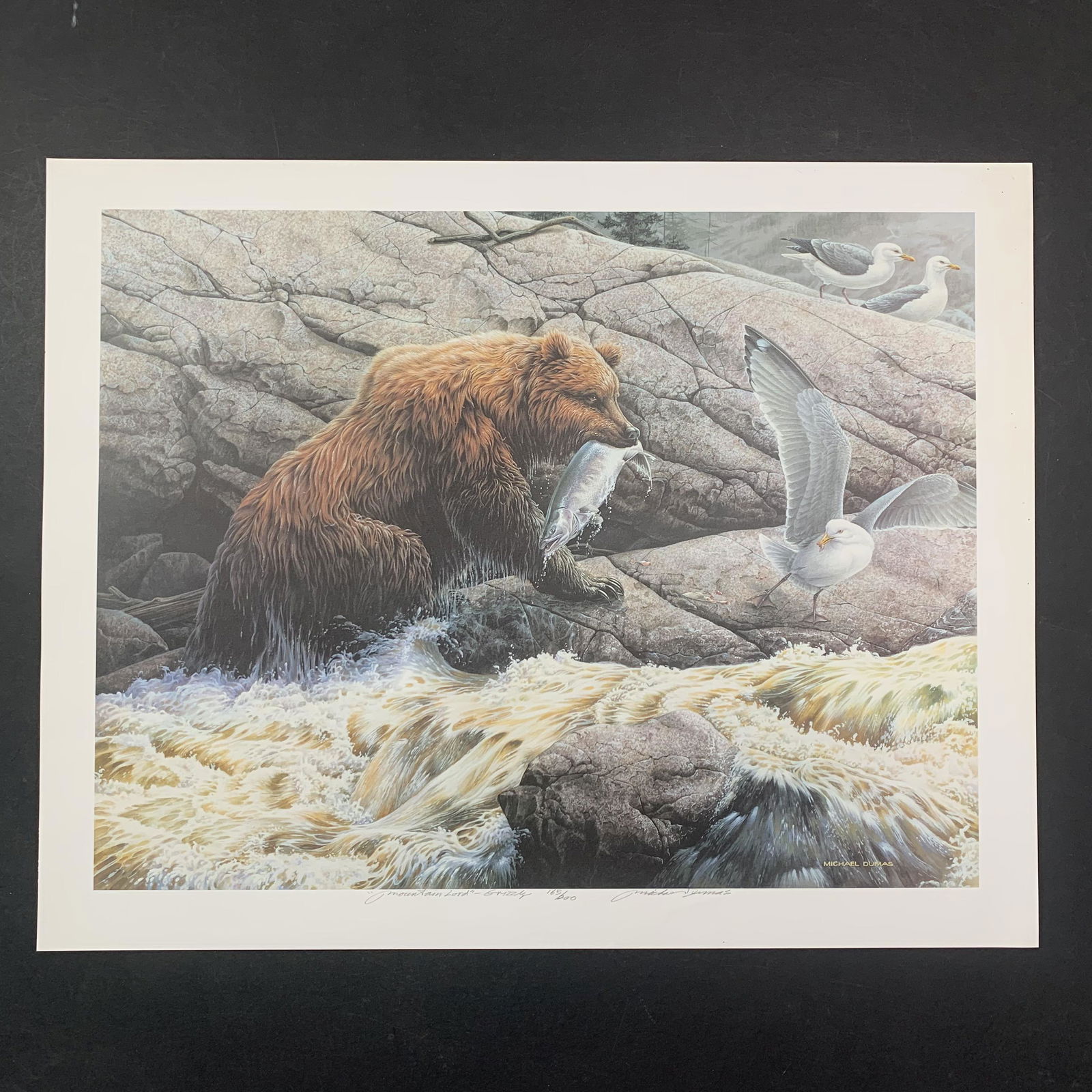 Michael Dumas's "Mountain Lord - Grizzly" Limited Edition Print (1 of 1)