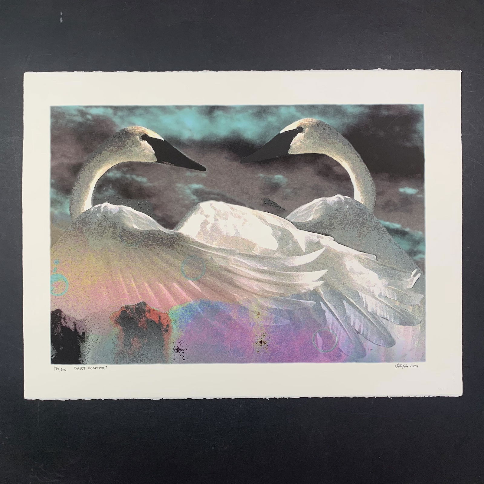 Michael Knigin's "Direct Contact" Limited Edition Print (1 of 1)