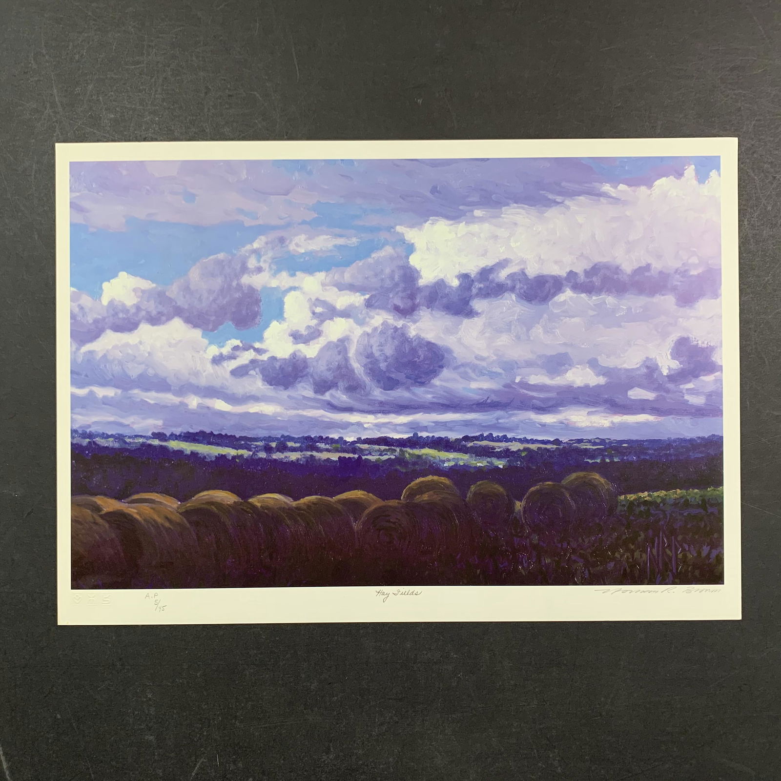 Norman Brown's "Hay Fields" Limited Edition Print (1 of 1)