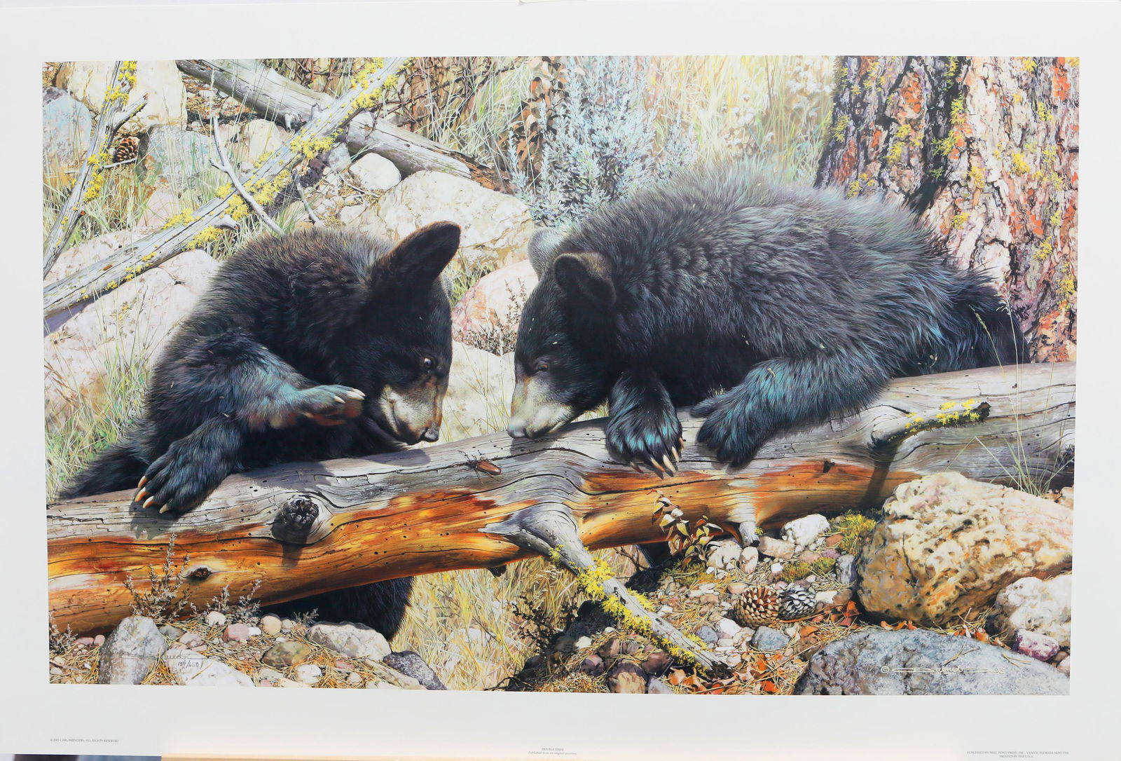 Carl Brenders' "Double Dare" Limited Edition Print (1 of 1)