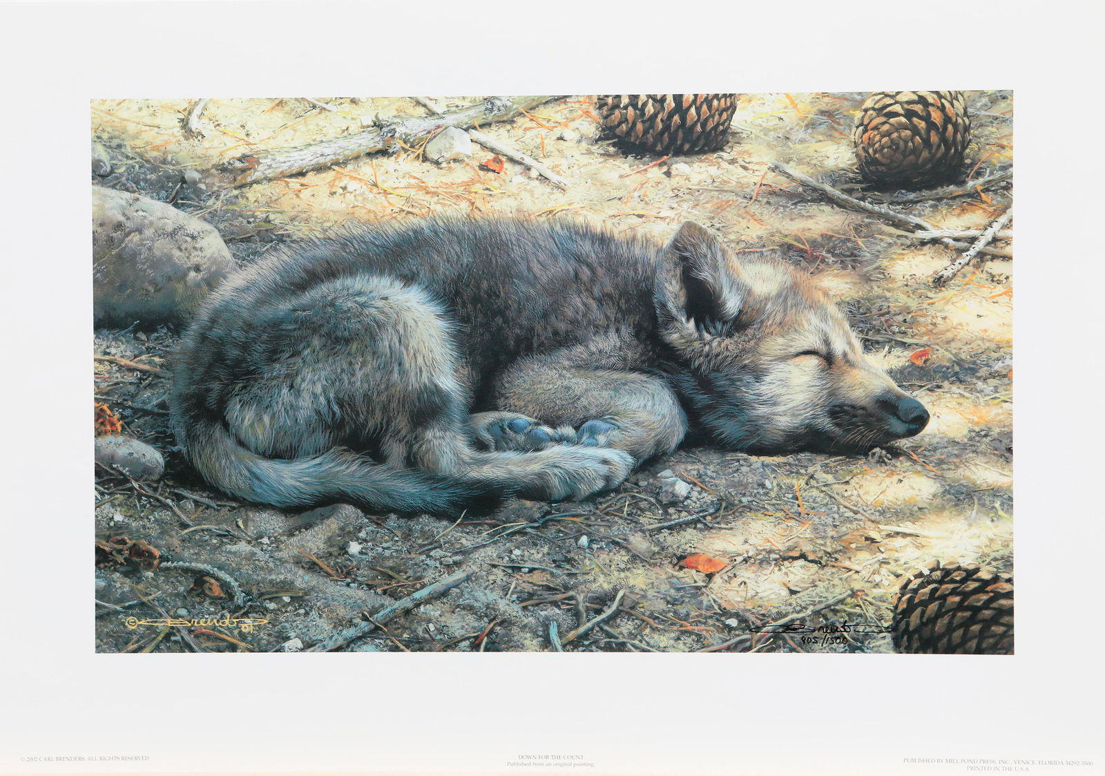 Carl Brenders' Down For The Count" Limited Edition Print (1 of 1)