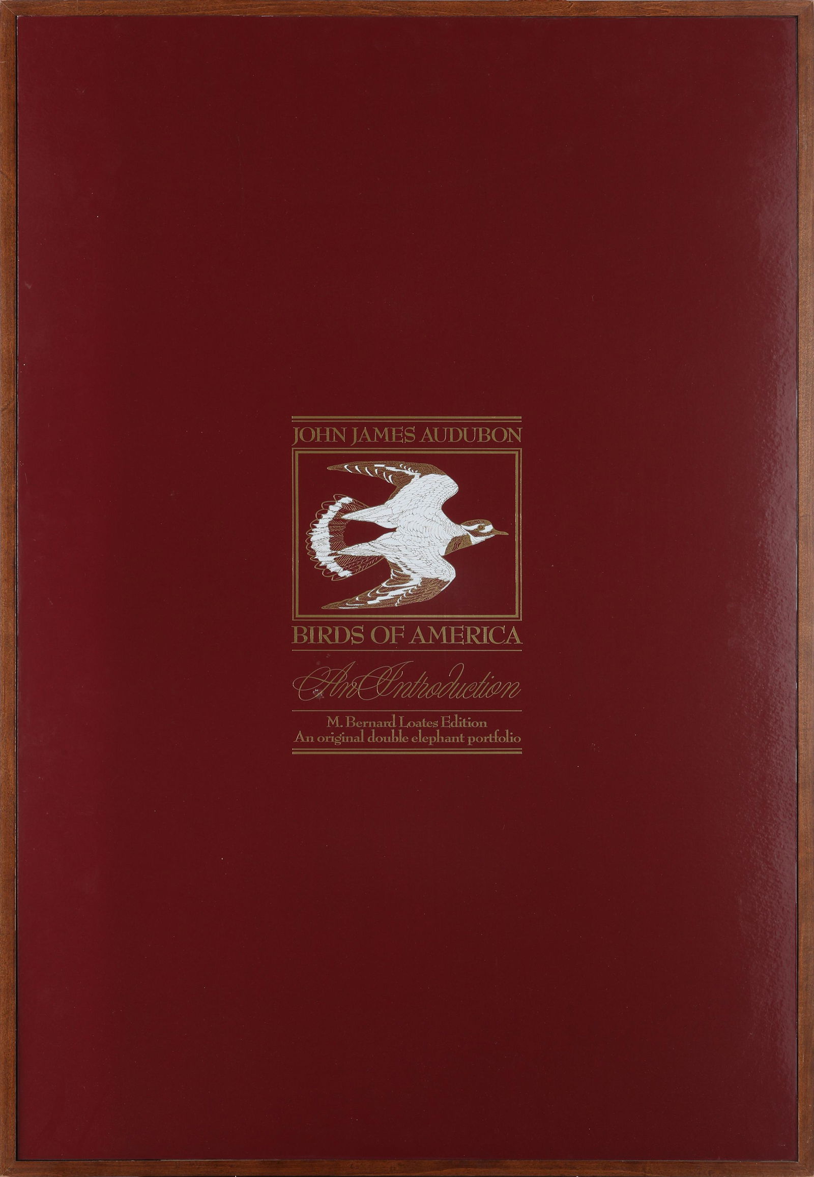 John James Audobon's "Birds of America" M. Bernard Loates Publishers Proof (1 of 10)