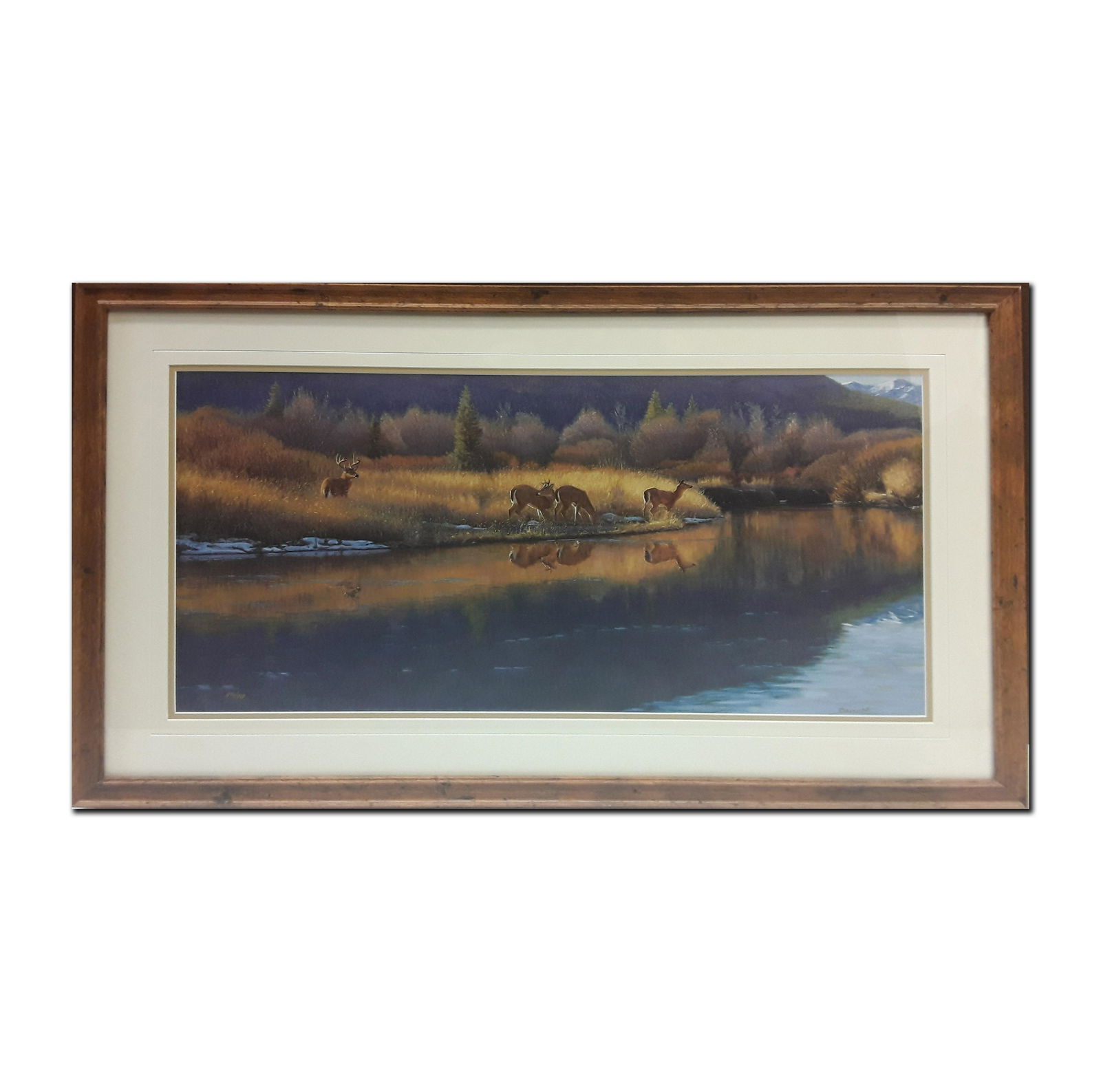 John Banovich's "Reflections of Gold" Limited Edition Print (1 of 3)