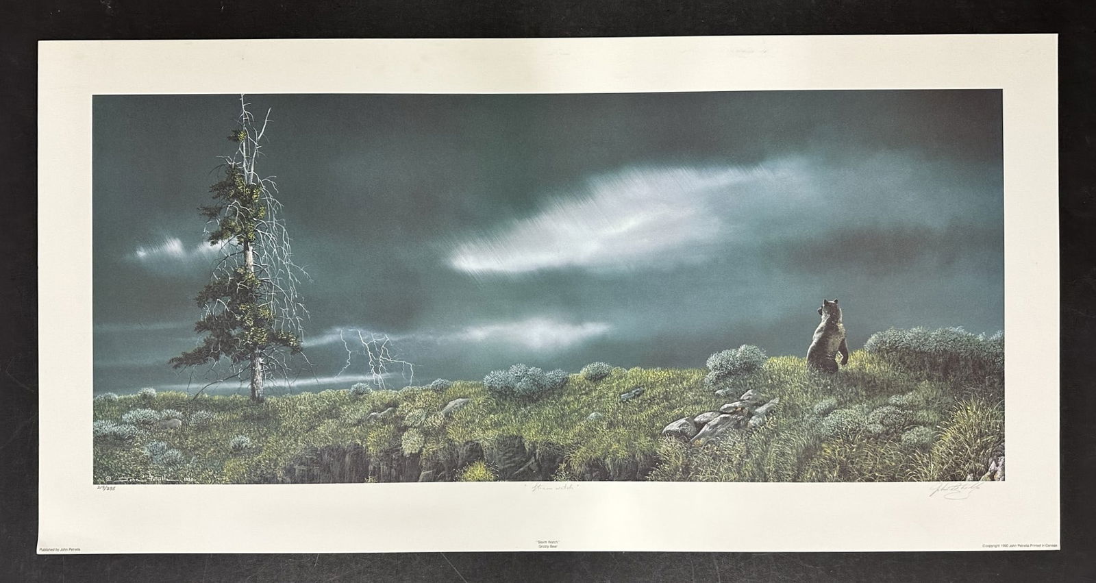 John Petrella's "Storm Watch - Grizzly" Limited Edition Print: John Petrella's "Storm Watch - Grizzly" limited edition print, signed lower right, titled lower middle, and numbered 219/295 lower left. A vivid piece of a grizzly bear at night, looking out to an onc