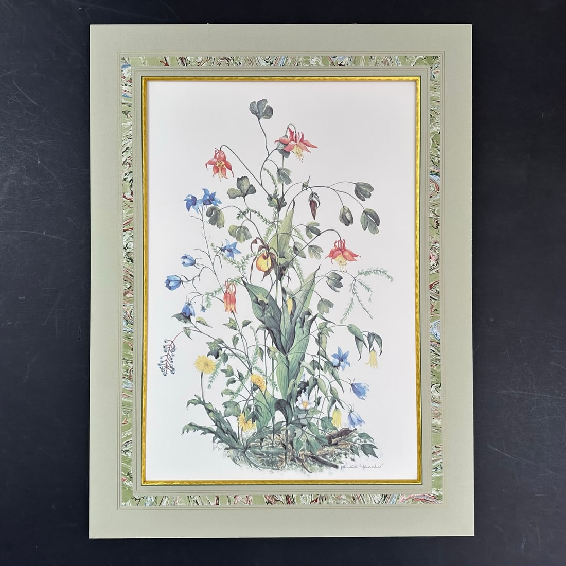 Pamela Meacher, Untitled, Limited Edition Print (1 of 1)