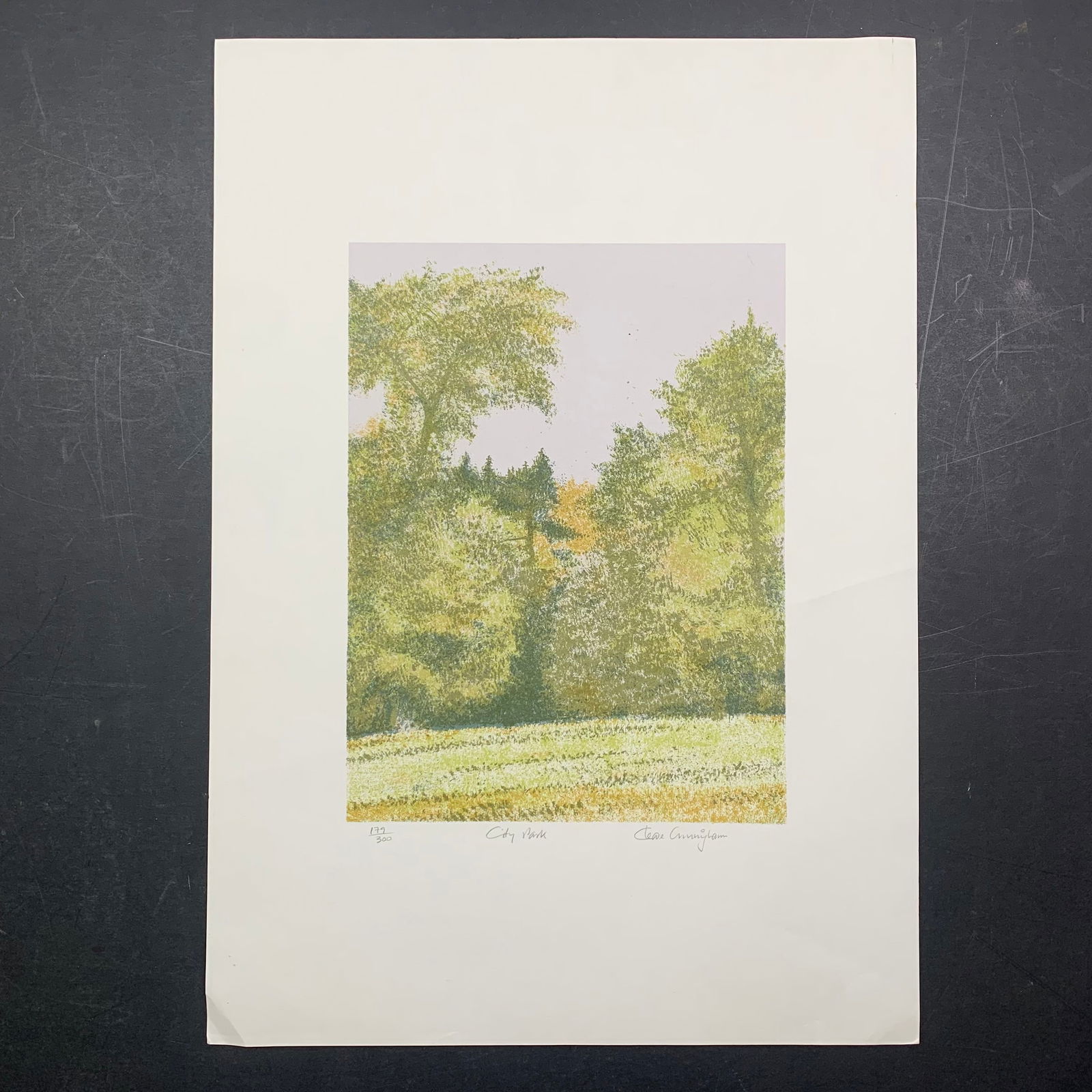Cleave Cunningham's "City Park" Limited Edition Print (1 of 1)