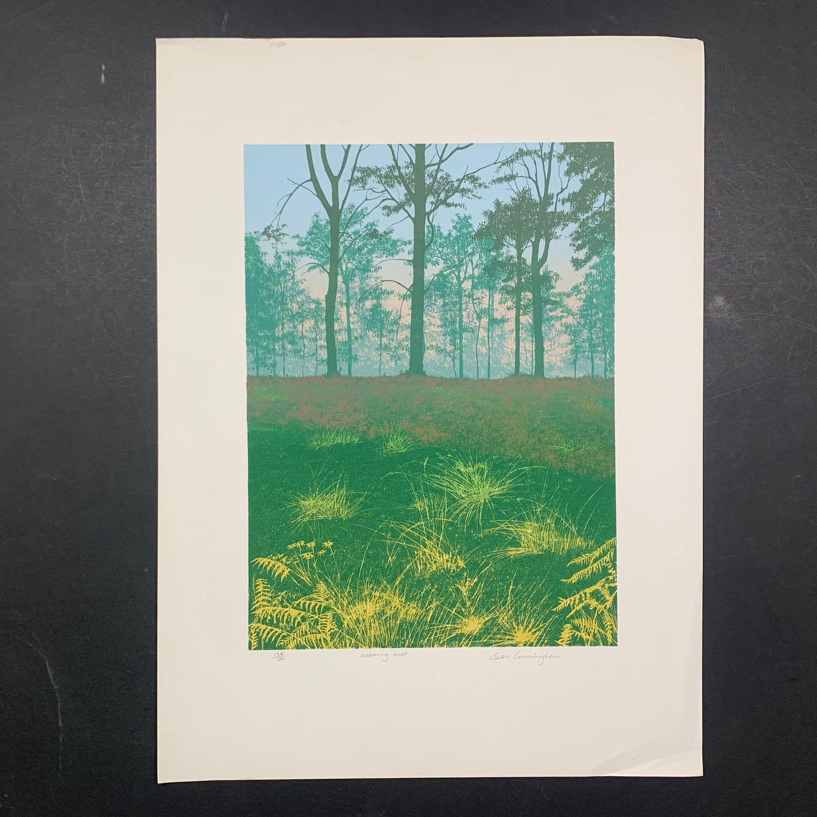 Cleave Cunningham's "Morning Mist" Limited Edition Print (1 of 1)