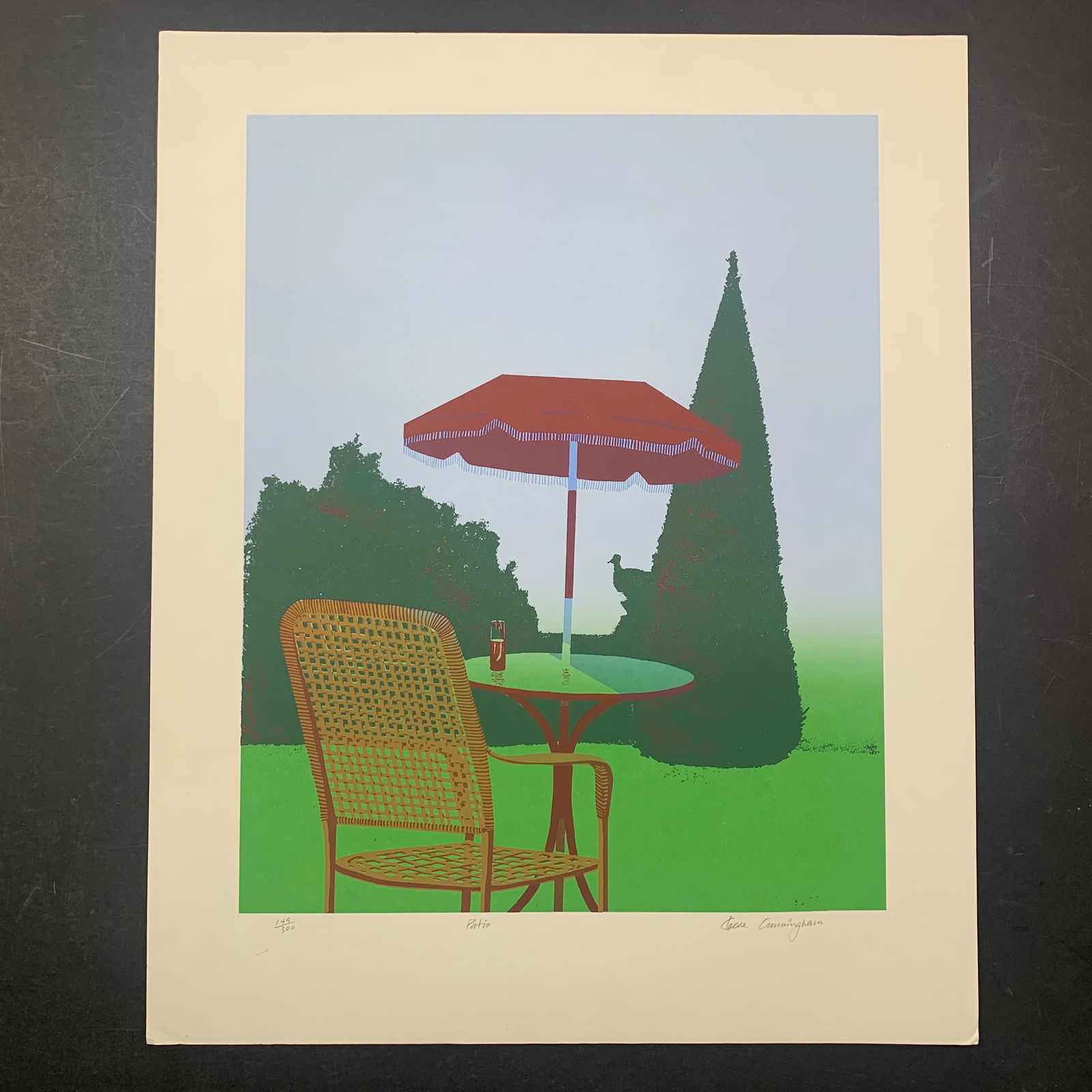Cleave Cunningham's "Patio" Limited Edition Print (1 of 1)