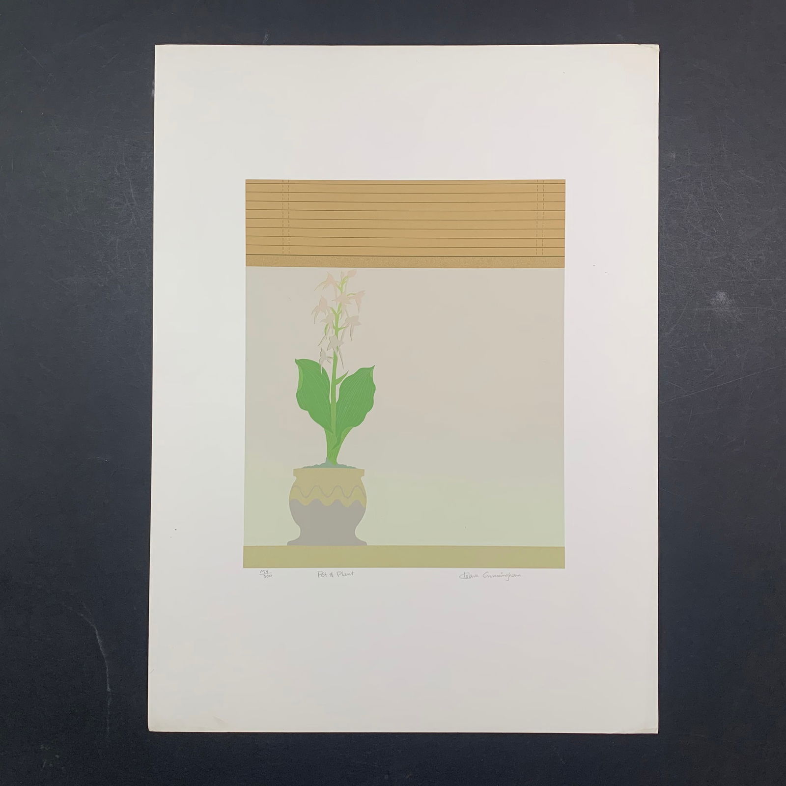 Cleave Cunningham's "Pot & Plant" Limited Edition Print (1 of 1)
