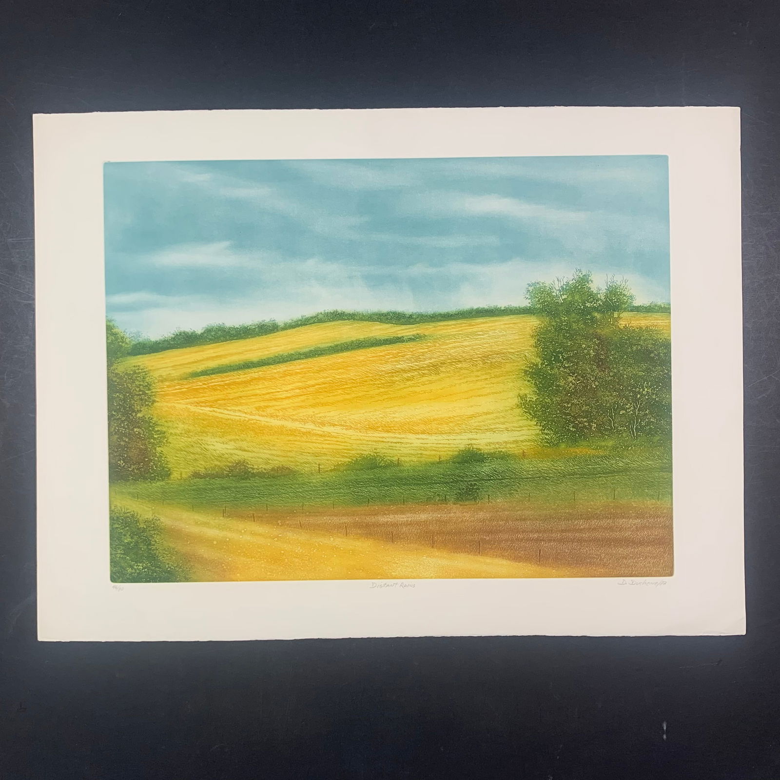 Darrell Duchene's "Distant Rains" Limited Edition Print (1 of 1)