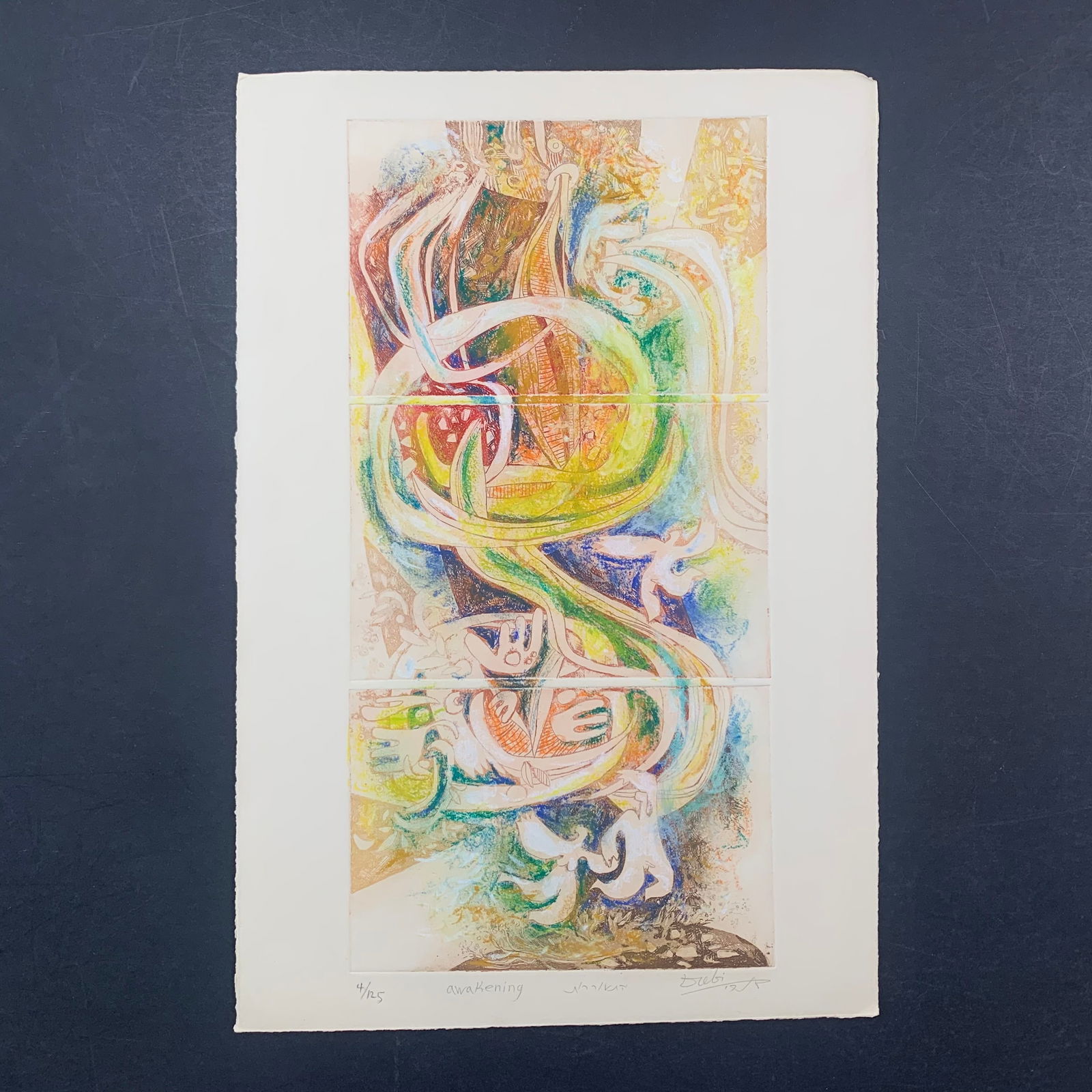 Dubi Arie's "Awakening" Limited Edition Print (1 of 1)