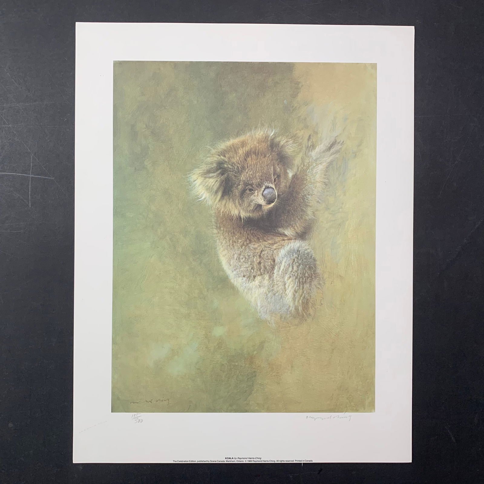 Raymond Harris Ching's "Koala" Limited Edition Print (1 of 1)
