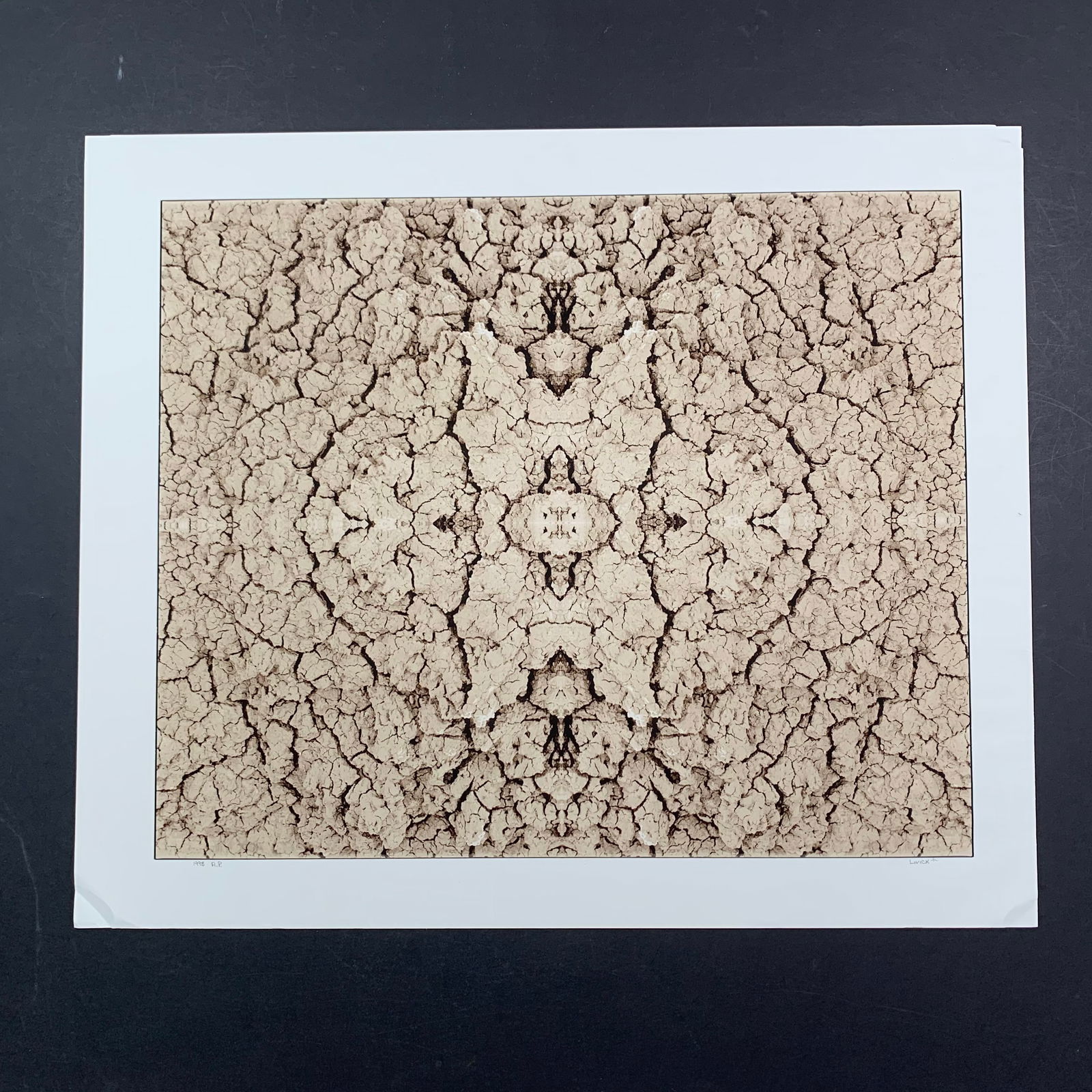 Stephen Livick's "Earth Fractals - Cracked Mud" Limited Edition Print (1 of 1)