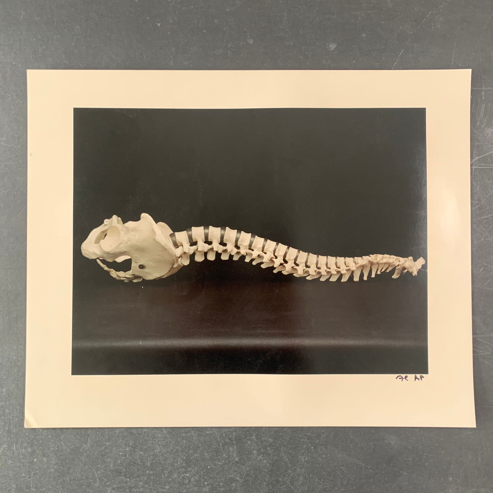 Untitled Limited Edition Photograph (1 of 1)