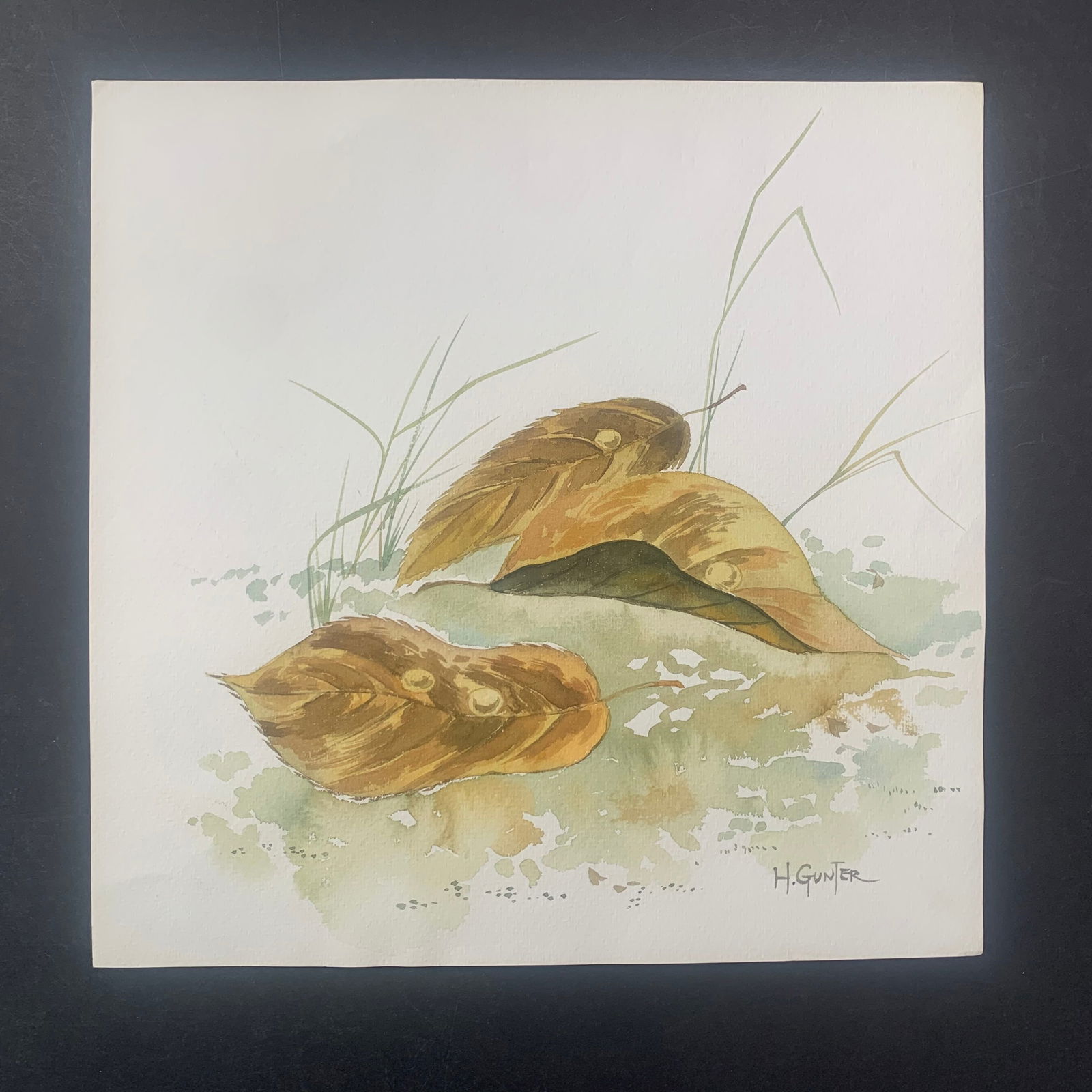 H. Gunter Original Print (1 of 1)