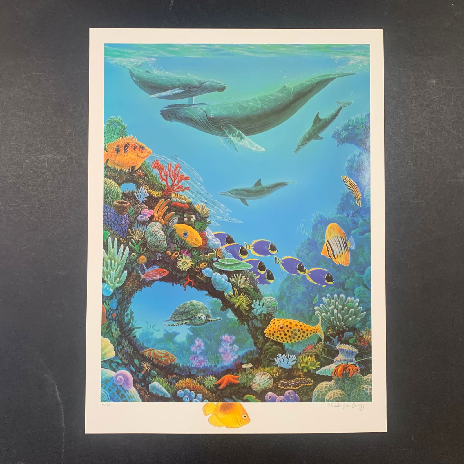 Charles Lynn Bragg's "Beauty and the Reef" Limited Edition Print (1 of 1)