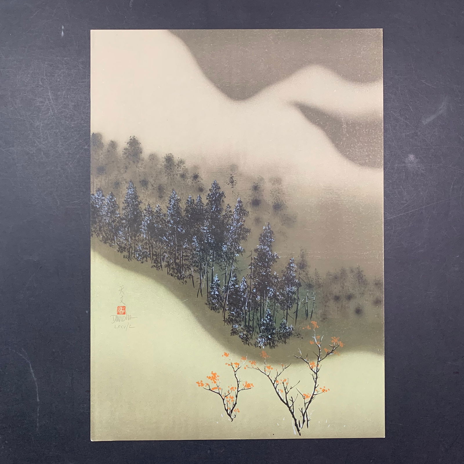 David Ha Lee, Untitled, Limited Edition Print (1 of 1)