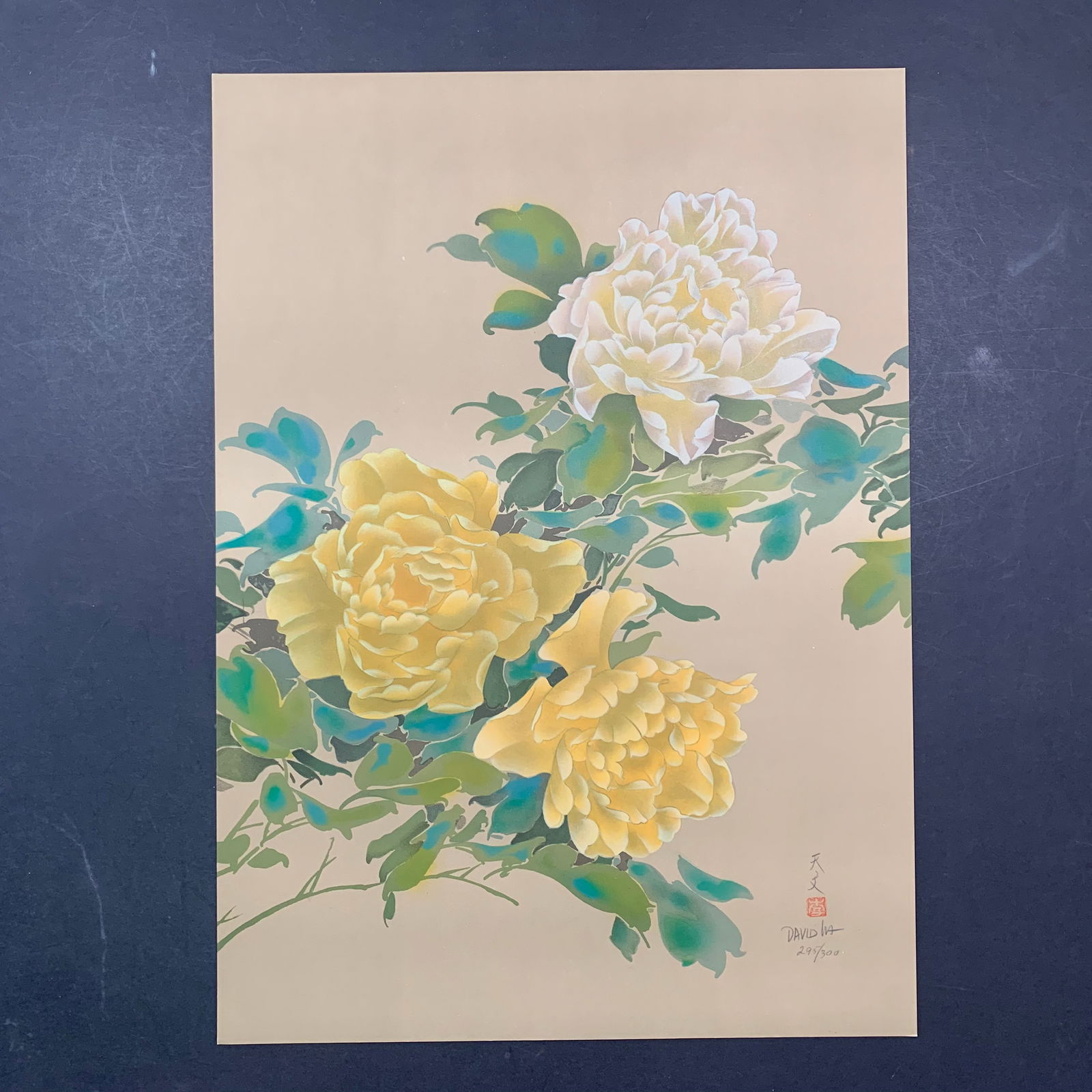 David Ha Lee, Untitled, Limited Edition Print (1 of 1)