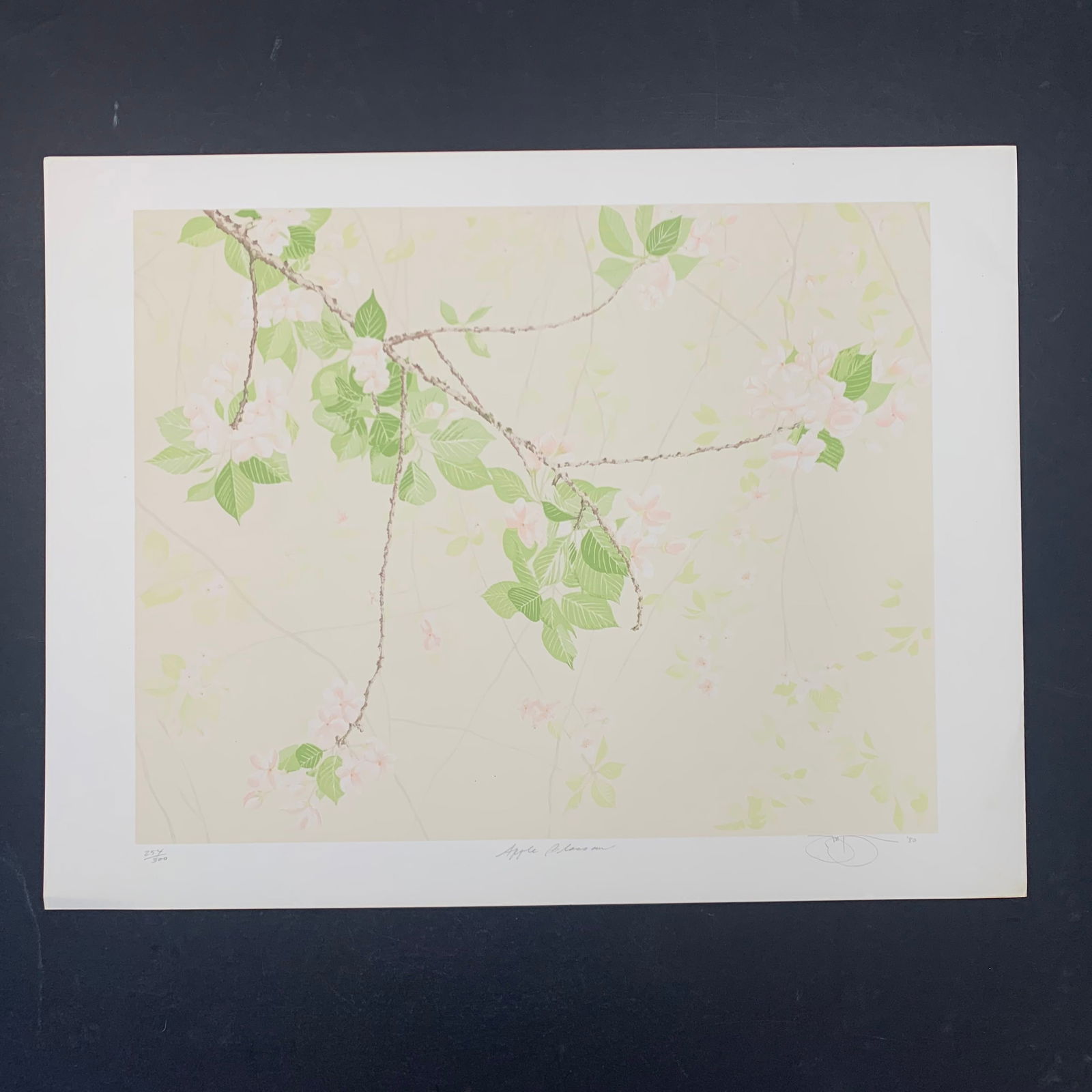 Jon D'orazio's "Apple Blossoms" Limited Edition Print (1 of 1)