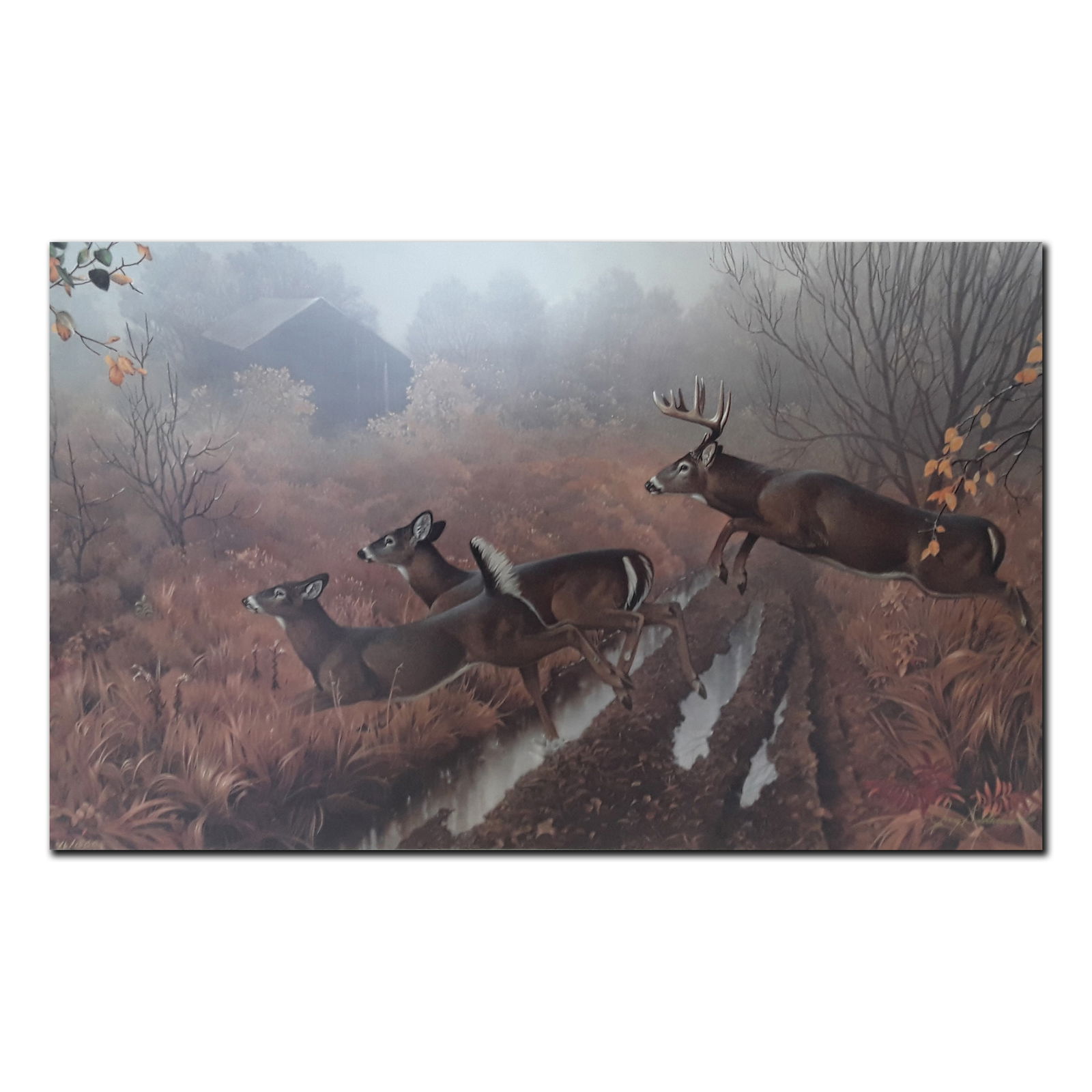 Jerry Gadamus's "Morning Run" Limited Edition Print (1 of 4)