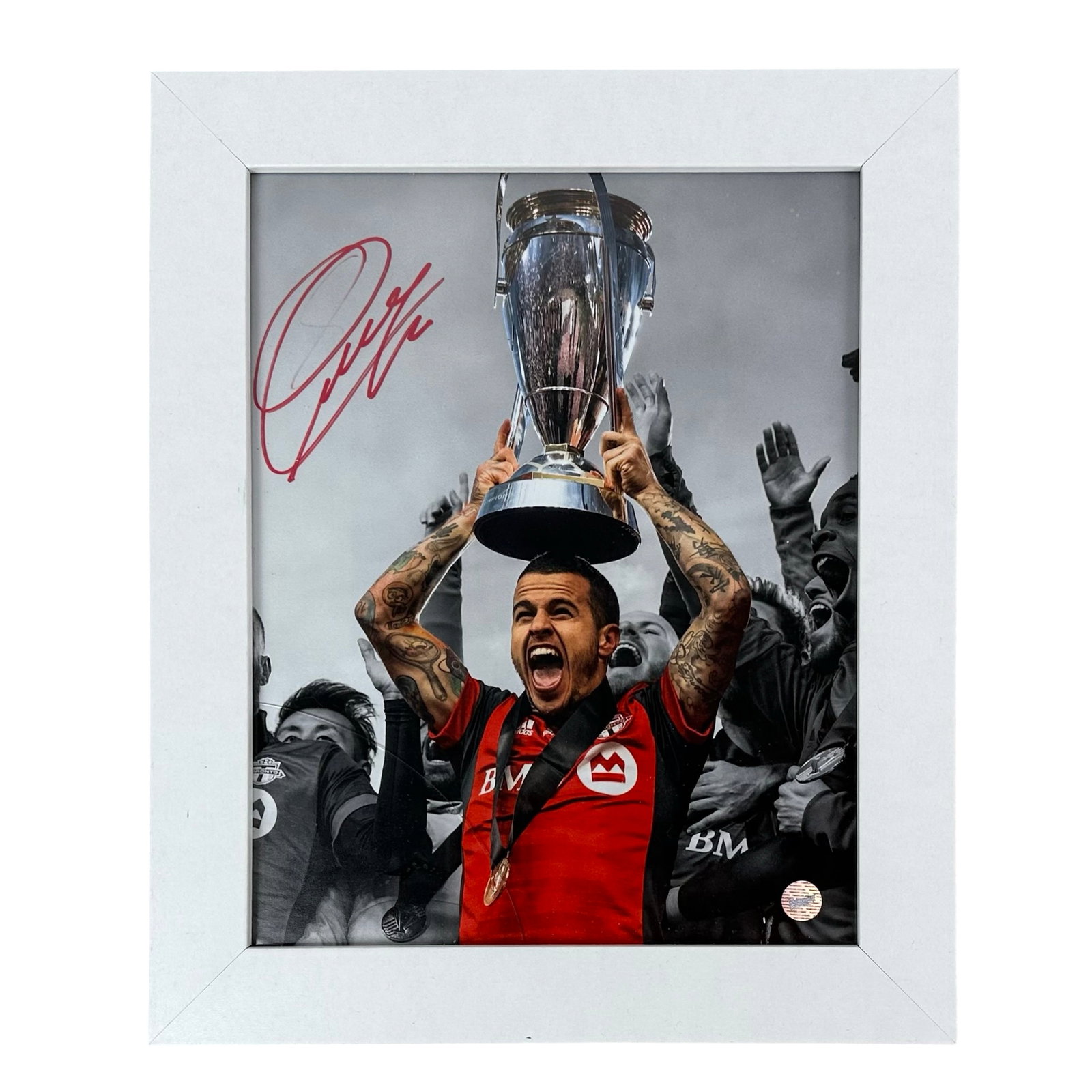 Sebastian Giovinco Toronto FC Soccer Signed Photo: An autographed Sebastian Giovinco Toronto FC Soccer signed photo. Signed in the upper left corner in red ink, and included with a Sportsline COA, and a Frameworth Hologram of Authenticity. Glass is cr