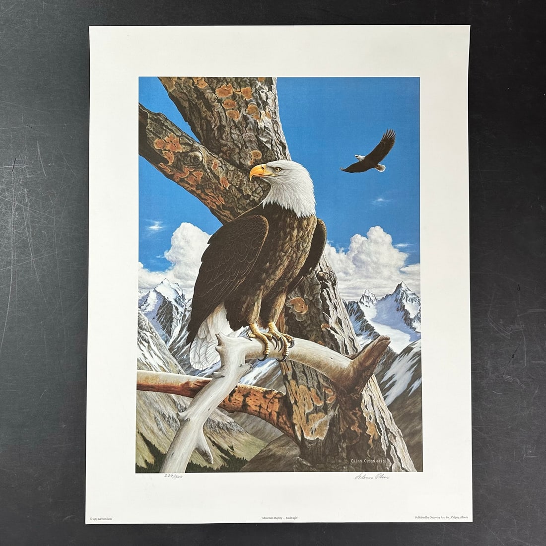 Glenn Olson's "Mountain Majesty - Bald Eagle" Limited Edition Print (1 of 1)